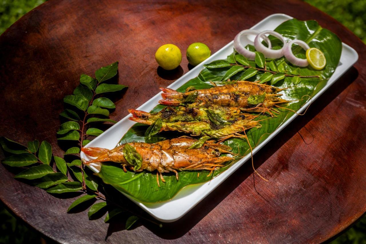 Sterling Vythiri Wayanad 호텔 외부 사진